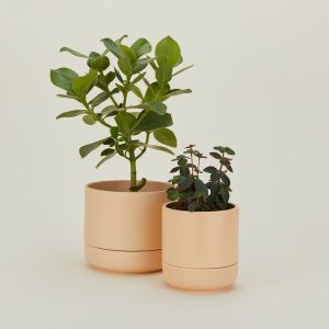 Garden + Patio |   Franklin Self Watering Planter – Apricot Decor Apricot