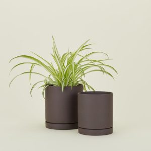 Garden + Patio |   Sekki Pot – Charcoal Decor Charcoal